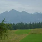 Majka - *