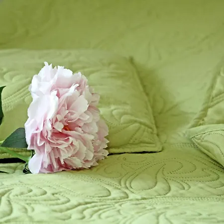 Majka - Accommodatie bij particulieren Bukowina Tatrzańska